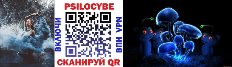 Псилоцибиновые грибы мицелий  цена наркотик  Магадан 
